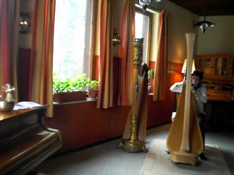 Lee más sobre el artículo Taller de Arpa Mágica de Mistana