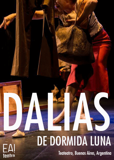 Lee más sobre el artículo Dalias de dormida luna