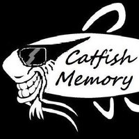 Lee más sobre el artículo Catfish Memory